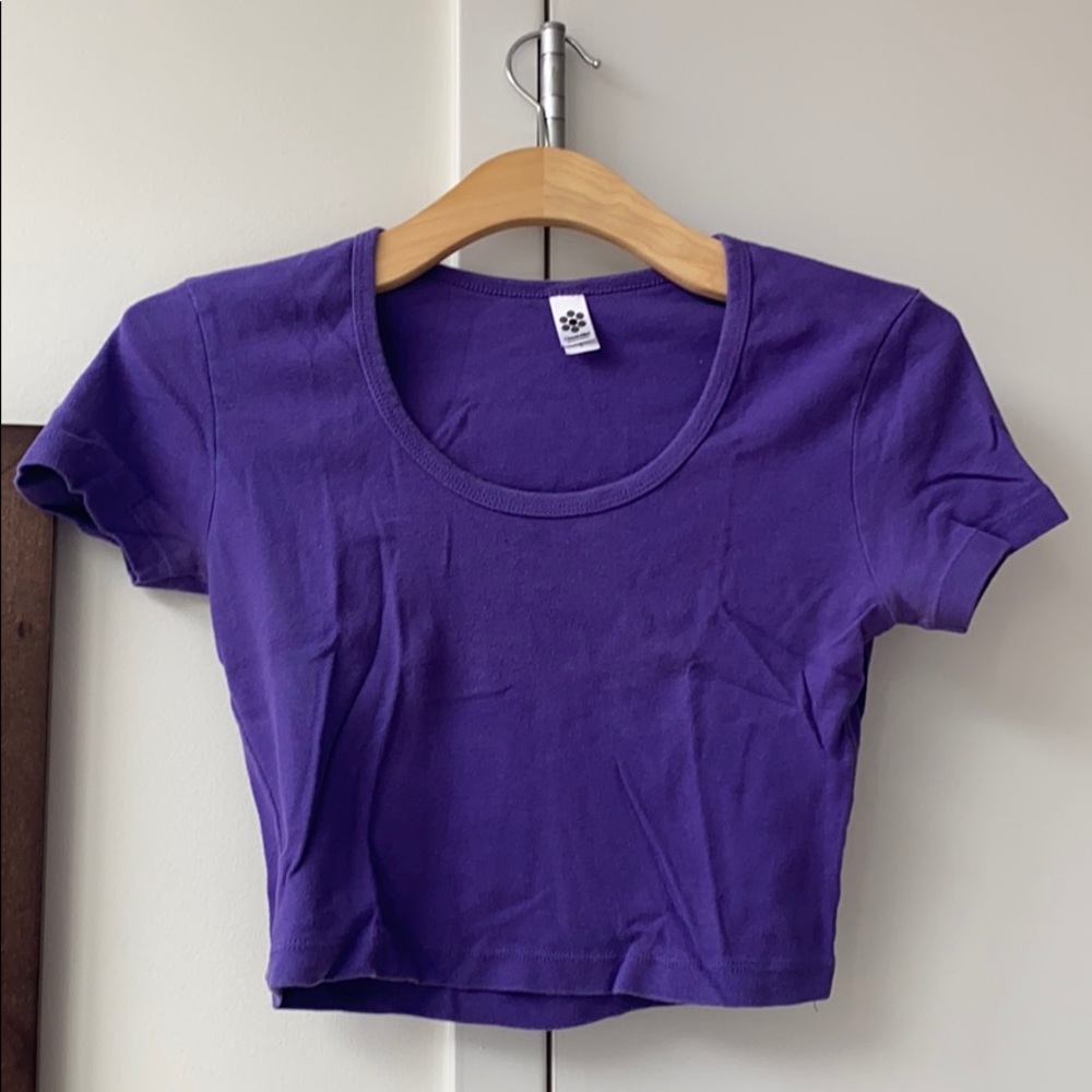 American Apparel Purple Crop Top